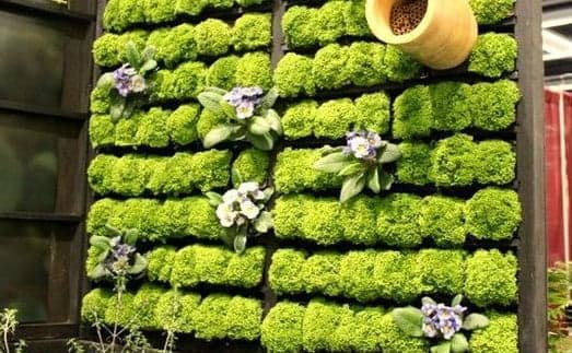 Moss wall – Bức tường của tương lai