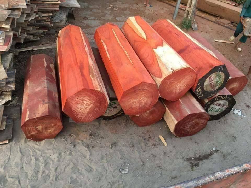 Gỗ hương là gì? Ứng dụng gỗ hương trong đồ nội thất gia đình
