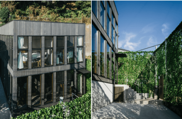 Ấn tượng trước ngôi nhà 173m2 được bao quanh bởi “tường cây” cao 6m, dài 20m