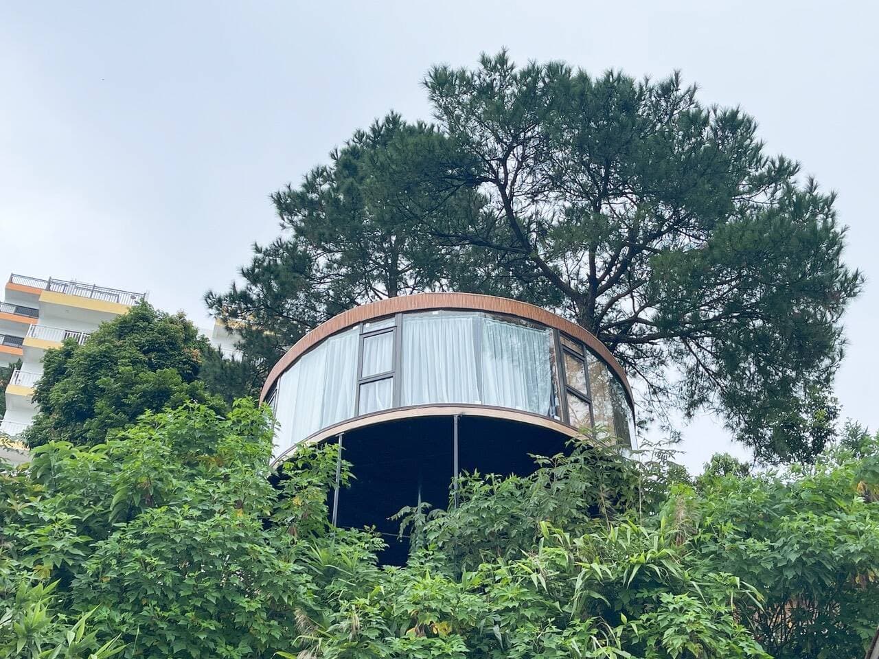 Mơ Màng House - Nhà trên cây săn biển mây cực kỳ độc đáo ở Tam Đảo