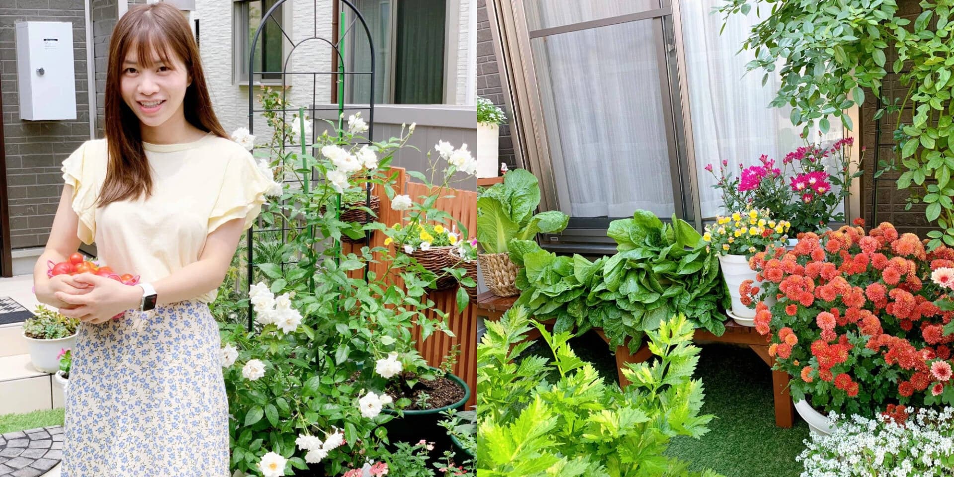 Gia chủ Việt trồng rau sạch trong khu vườn 30m2 đủ ăn cho gia đình nhỏ