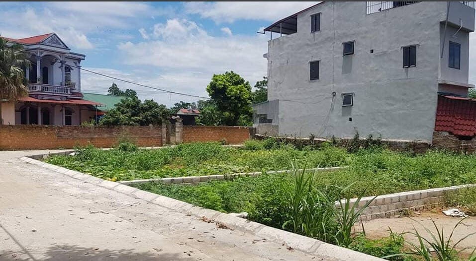 Vợ chồng tôi khổ sở suốt 8 năm vì mua chung đất với anh trai chồng