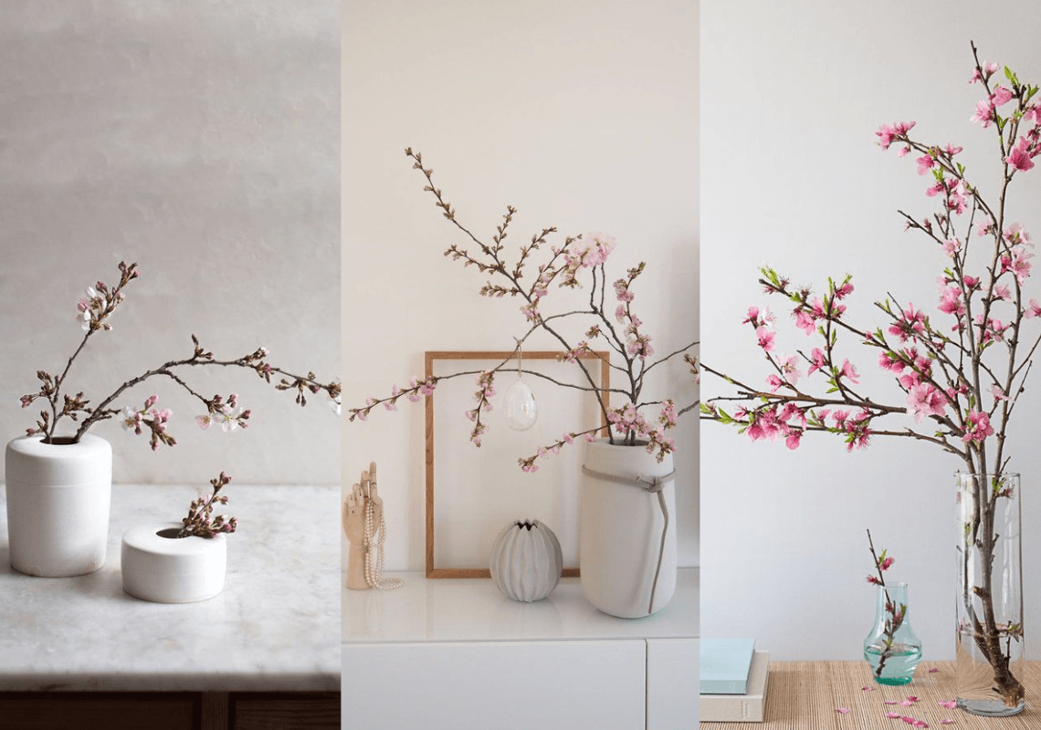 Hướng dẫn trang trí cây cảnh đón Tết theo phong thủy, đón tài lộc