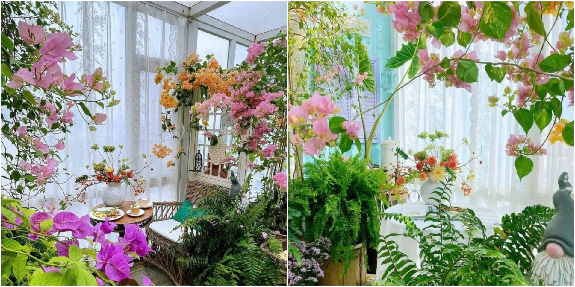 Cô nàng 9x khoe vườn hoa giấy ở ban công, chia sẻ 4 bí quyết chăm hoa cực đơn giản