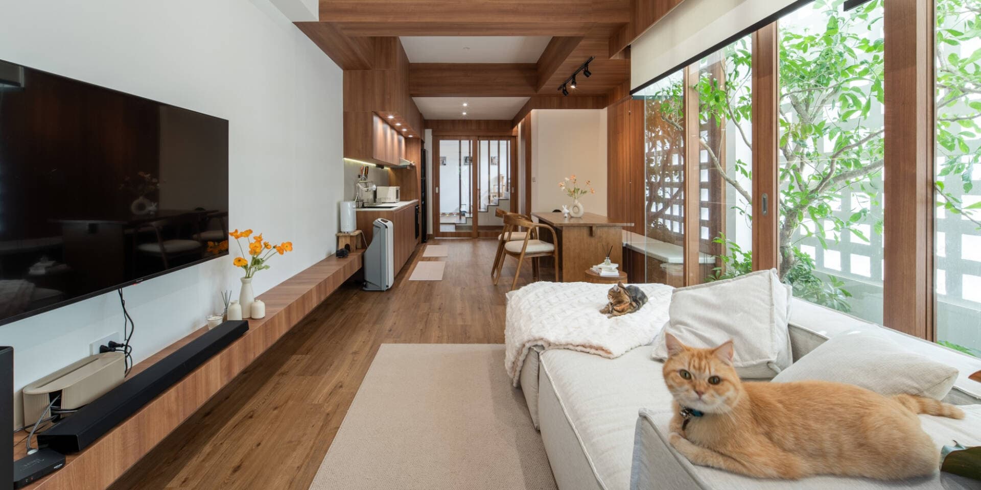 Cải tạo townhouse cũ thành ngôi nhà tràn ngập ánh sáng, cây xanh và niềm vui sống
