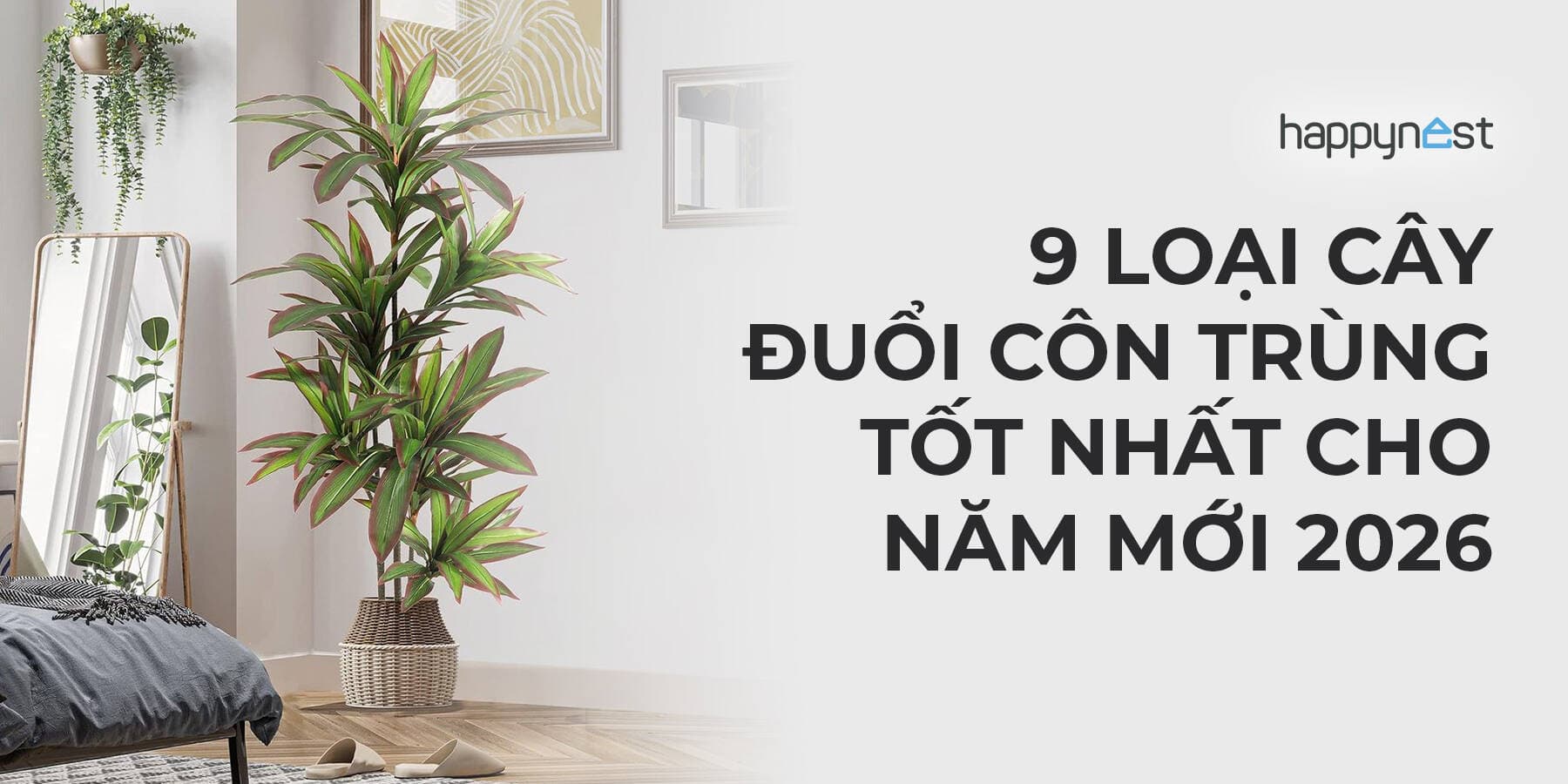9 loại cây trồng trong nhà vừa đuổi côn trùng vừa dễ sống cho năm 2026