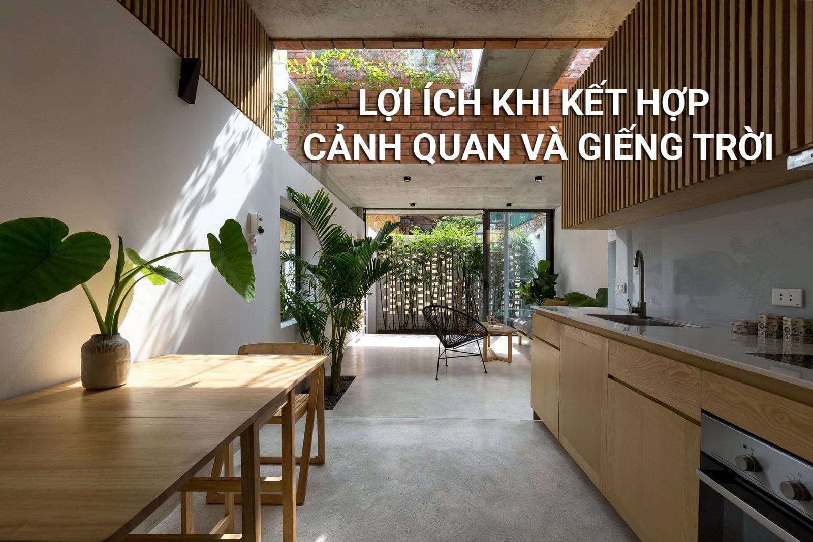 Lợi ích khi kết hợp cảnh quan và giếng trời