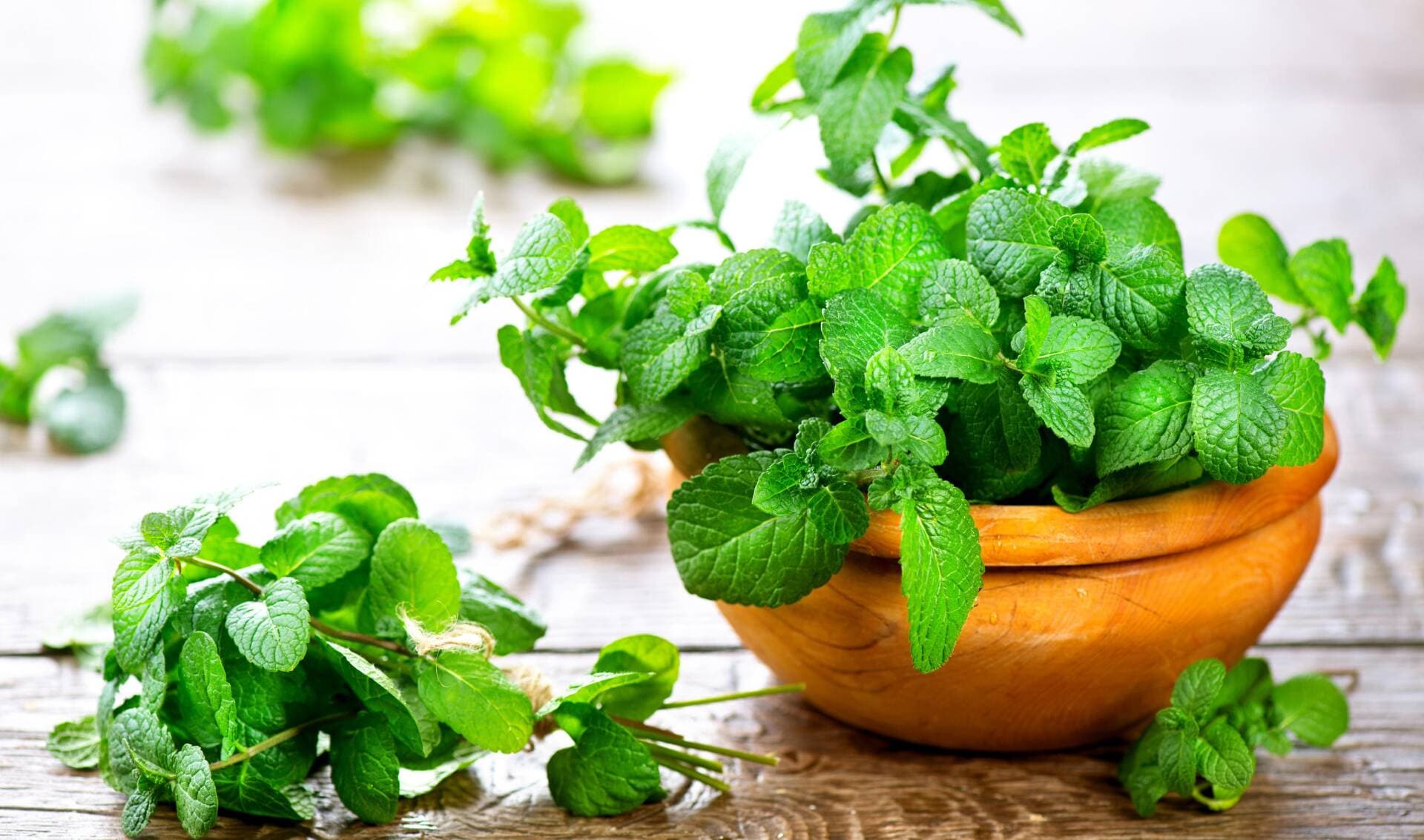 Gợi ý 8 loại cây trồng trong nhà bếp giúp thanh lọc không khí, lại giúp khử mùi hiệu quả