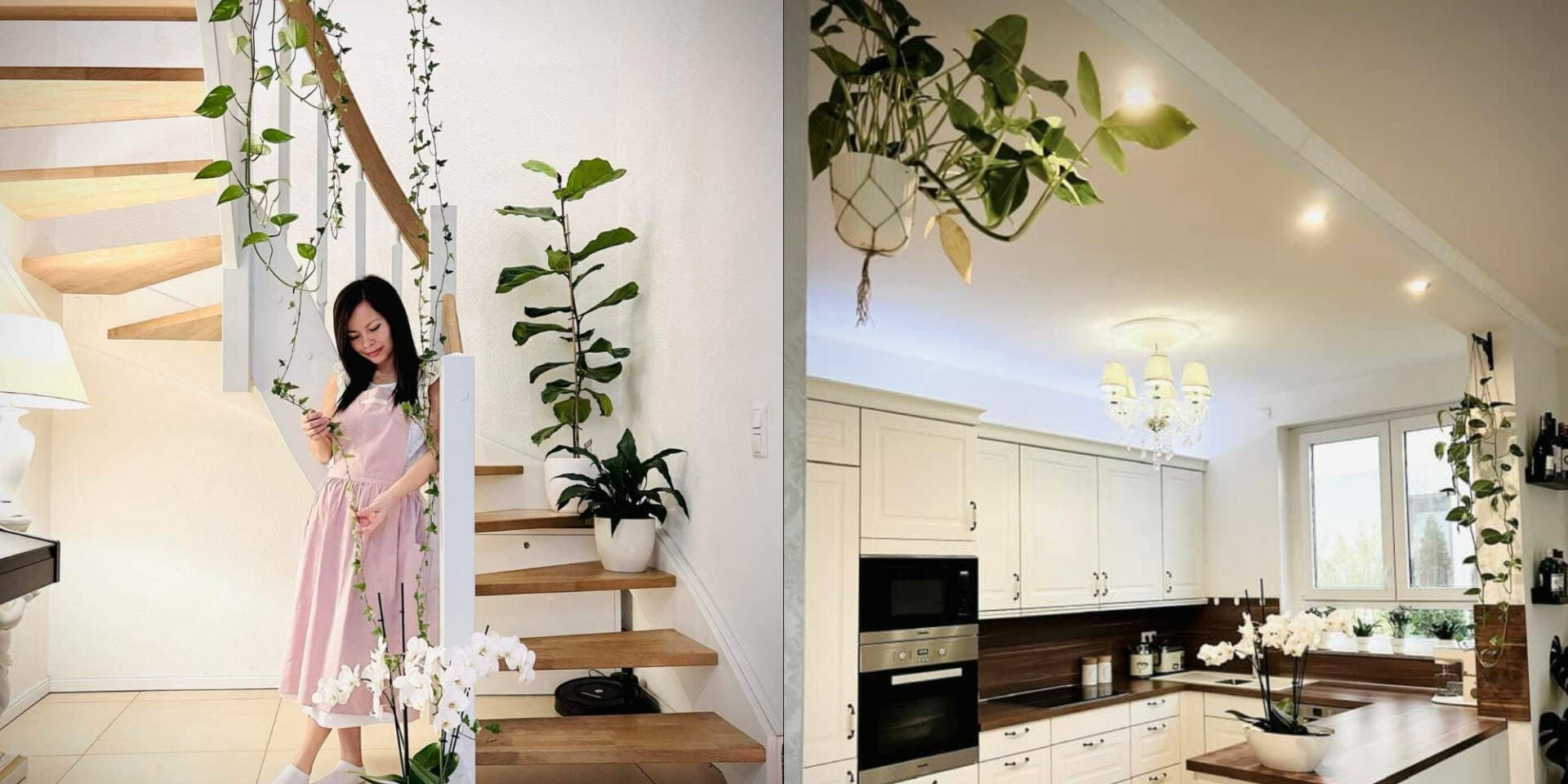 Nhà 500m2 góc nào cũng đầy cây hoa của gia chủ Việt tại Đức: chọn loại cây và vị trí đặt là quan trọng nhất