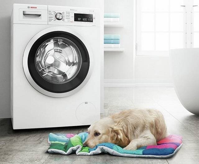 Review máy giặt Bosch WAT2446SPL Serie 6: Tiết kiệm 300kWh năng lượng mỗi năm