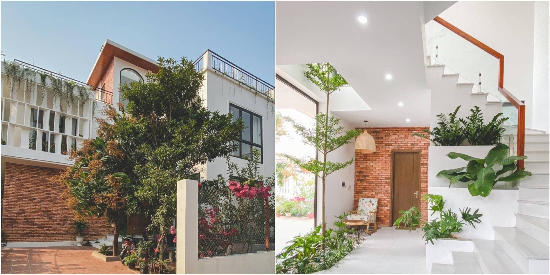 Nhà 3 tầng ngập nắng và tràn đầy năng lượng của gia chủ trẻ tuổi, chi phí hoàn thiện 1,6 tỷ đồng