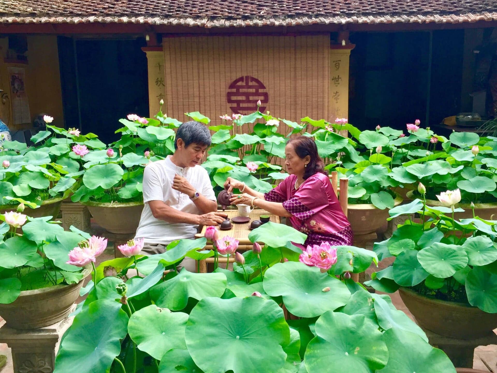 Vườn sen cung đình “nhả ngọc” trong nhà cổ trăm tuổi của gia chủ Hà Nội
