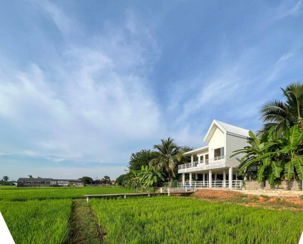 Xây nhà sàn ngược hướng để có thể thức dậy với khung cảnh đồng lúa mỗi ngày