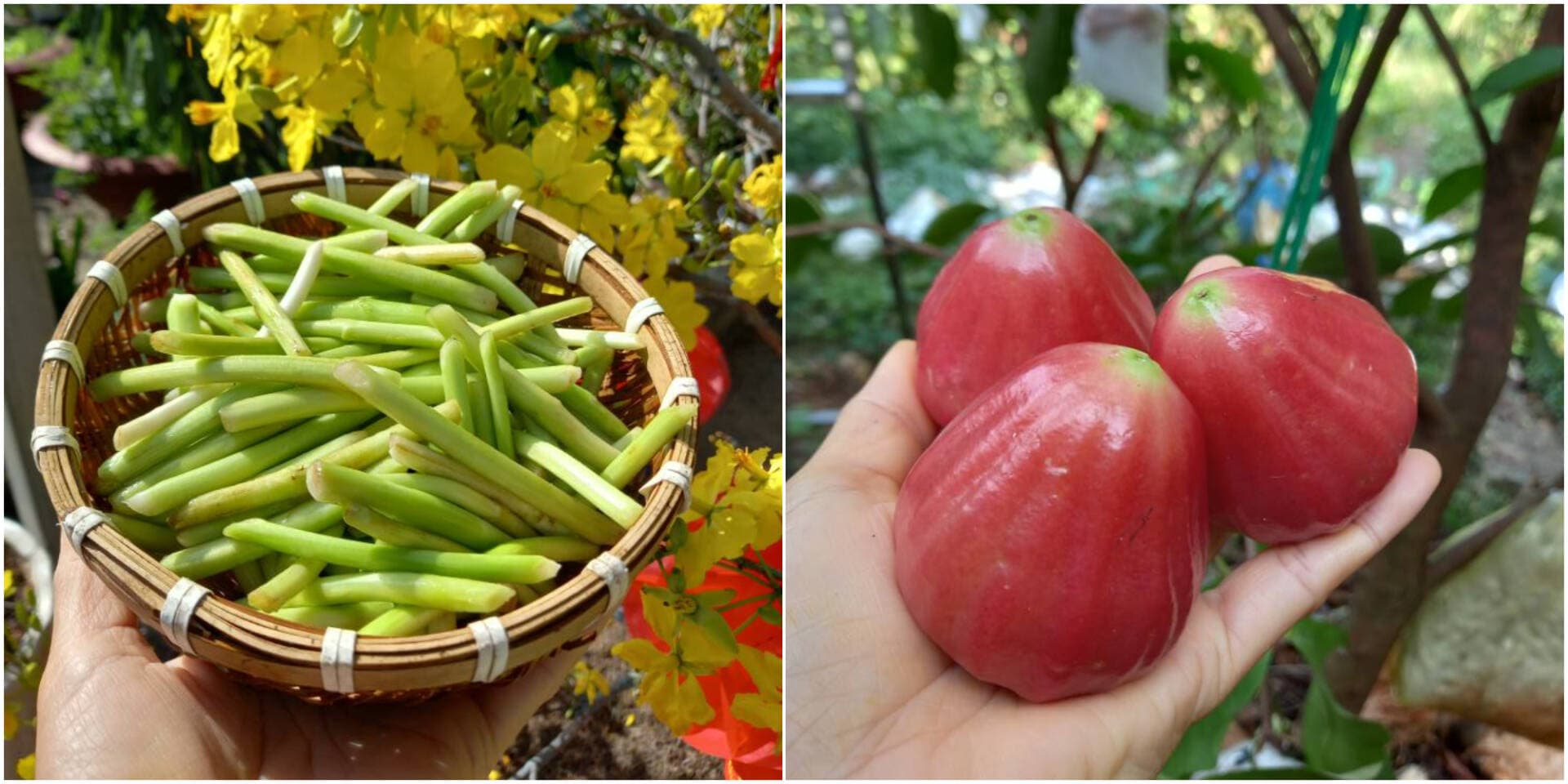 Từ bỏ nhịp sống đô thị, mình đã kiếm tiền thế nào khi về quê?