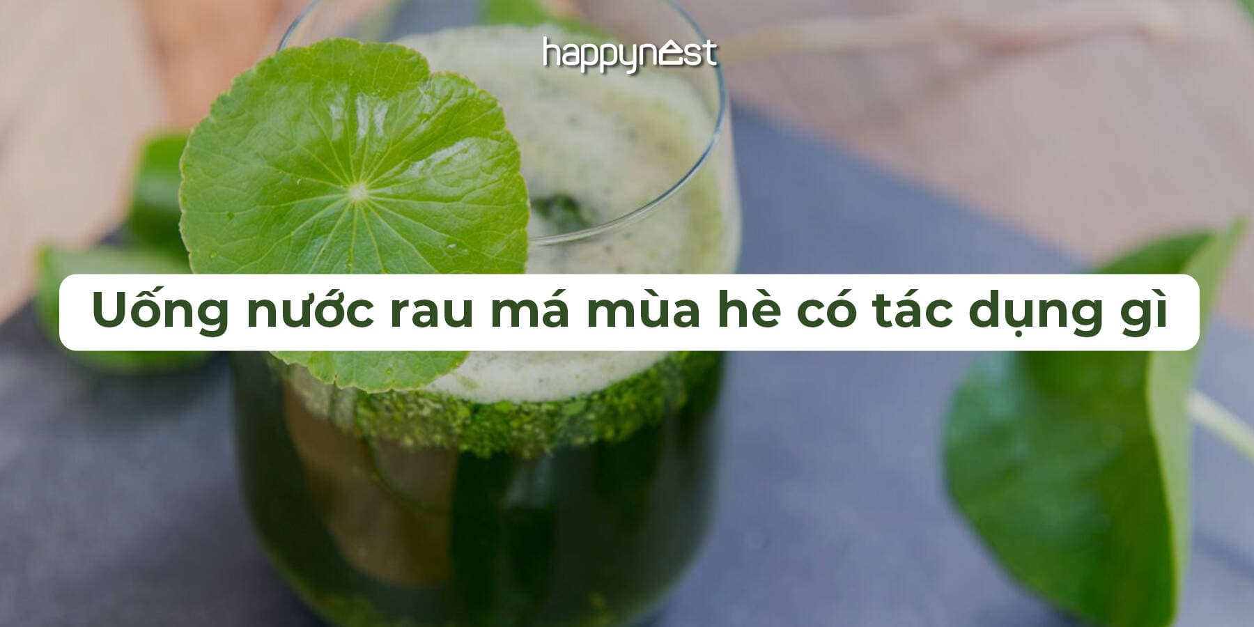 Nước rau má mùa hè có tốt không? 5 công dụng tuyệt vời và lưu ý không thể bỏ qua