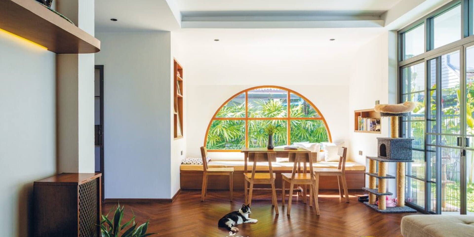 Nhà nuôi thú cưng: Thiết kế nội thất thế nào để đẹp – sạch – thông minh?