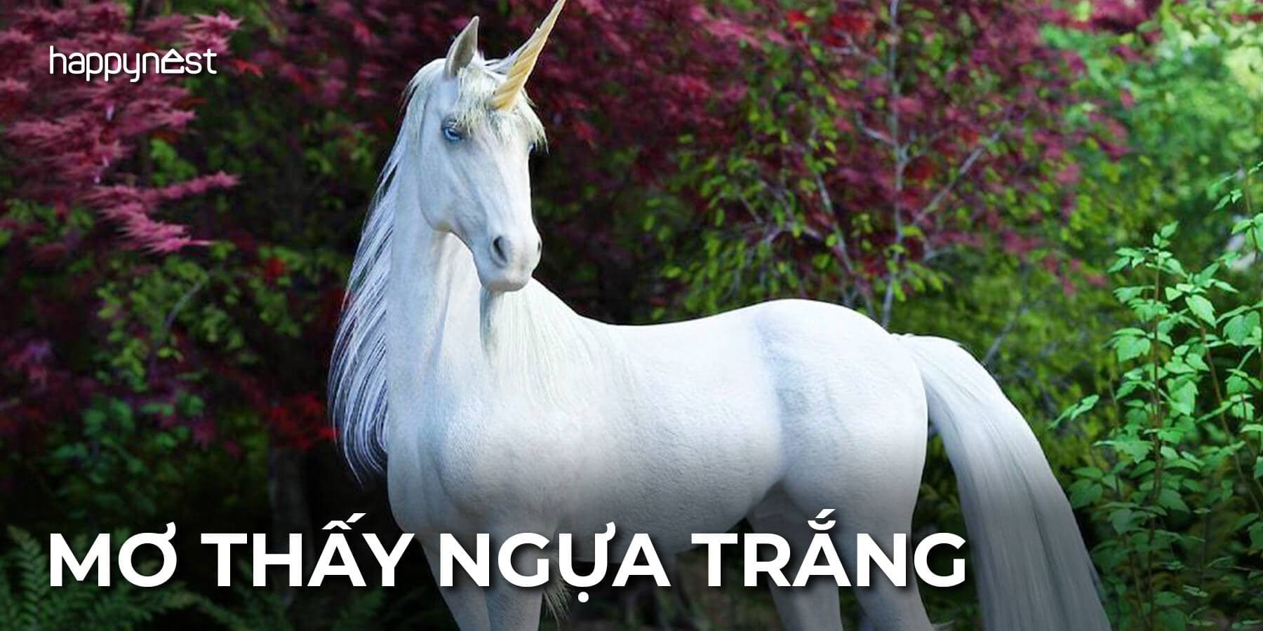 Mơ thấy ngựa trắng là điềm báo gì và đánh con số mấy