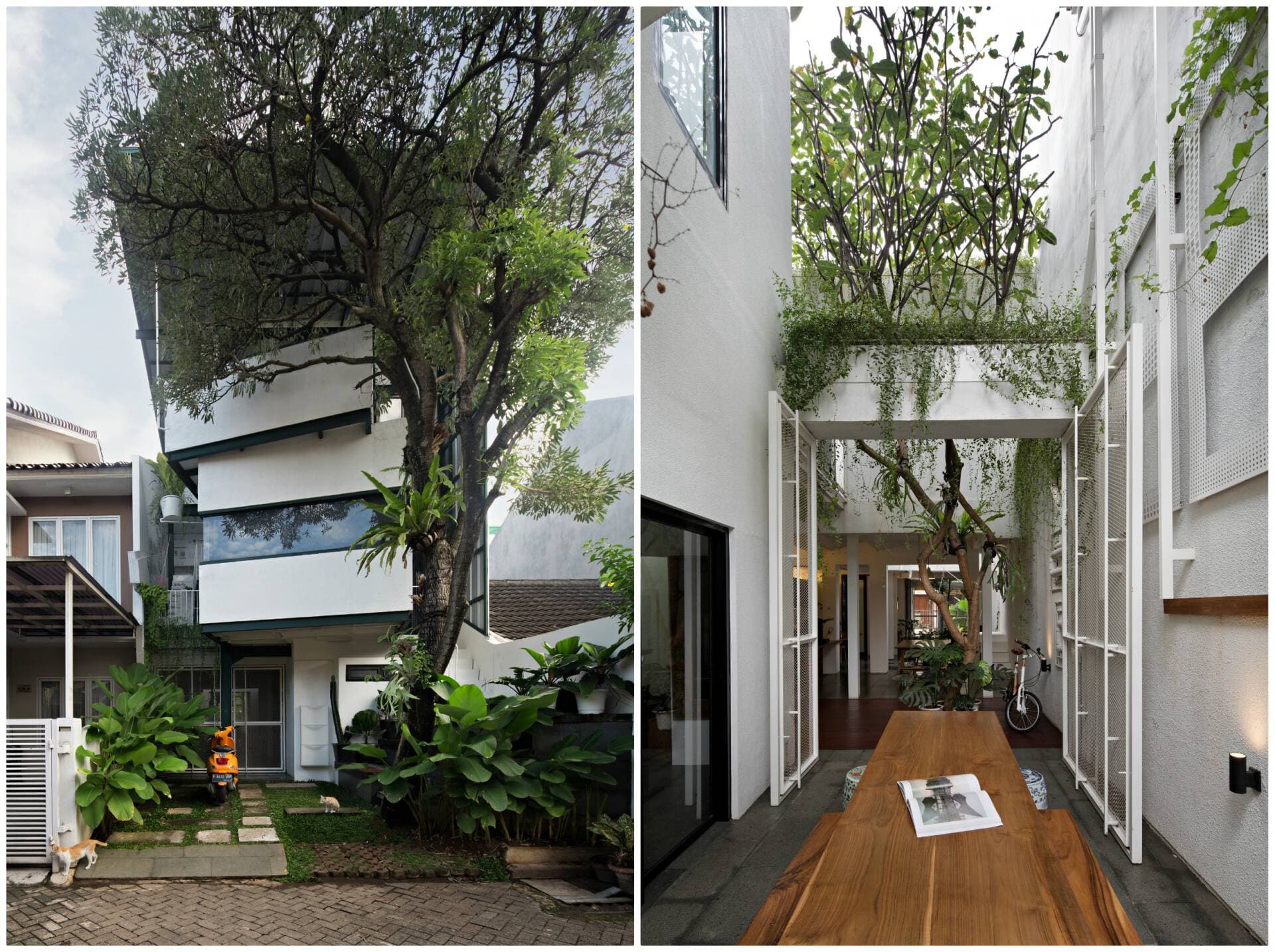 Growing House - Xu hướng xây nhà nhiều giai đoạn để phù hợp với điều kiện kinh tế và nhu cầu của gia chủ