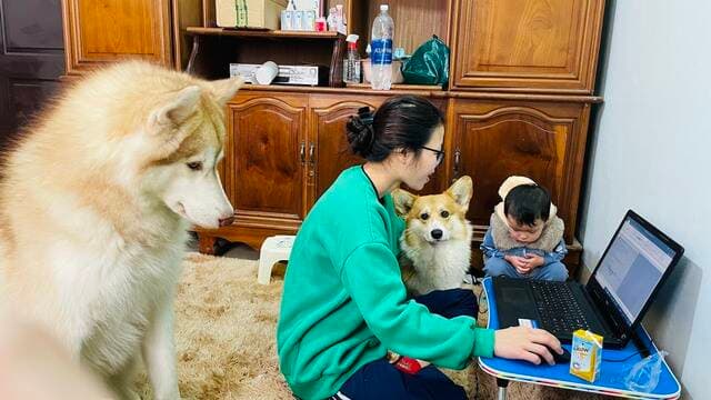 Chuyển nhà liên tục vì nuôi chó mèo và những bài học rút ra