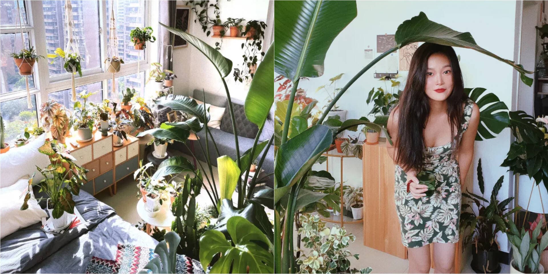 Ý tưởng tạo ra một 'khu rừng trong nhà' xanh tươi cho căn hộ 60m2