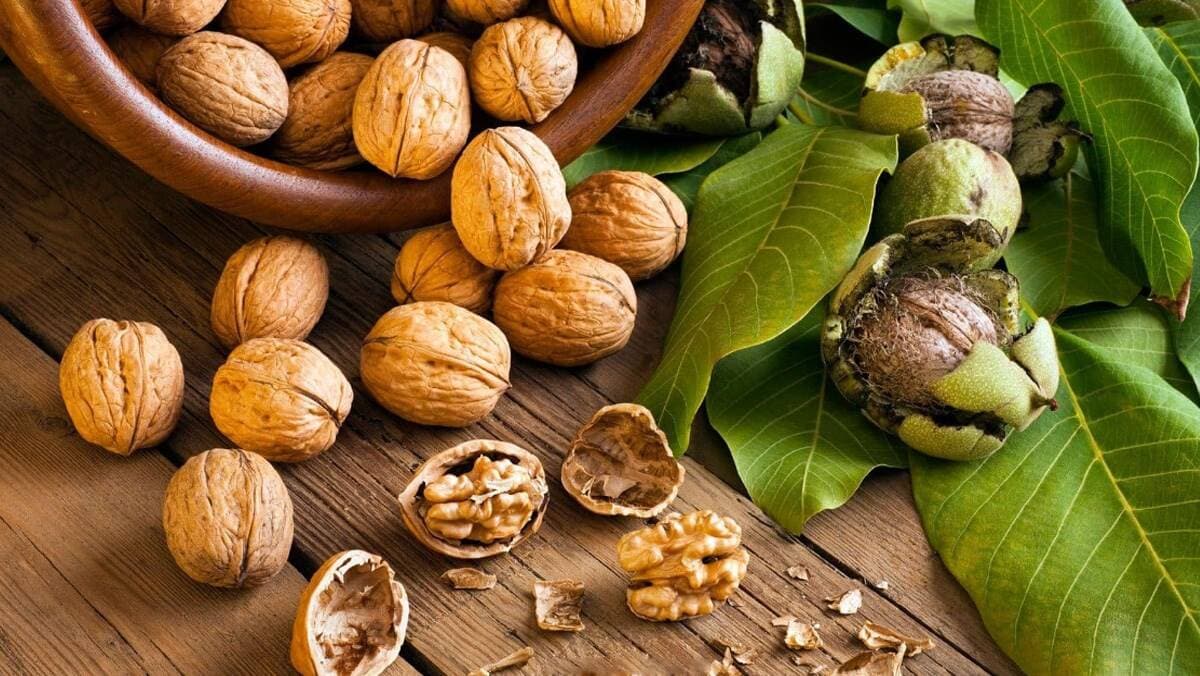 5 thực phẩm giúp giải độc, tăng cường chức năng gan – Bí quyết đơn giản để lá gan khỏe mạnh hơn