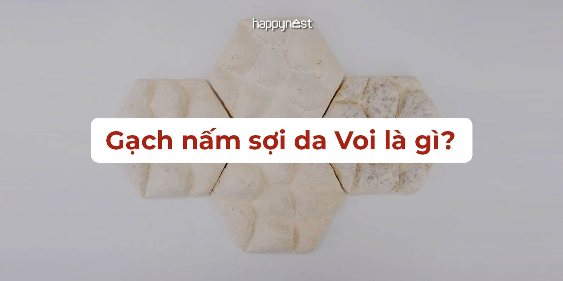 Giải pháp mới cho nhà ở bền vững: Gạch nấm mô phỏng da Voi làm mát không cần điều hoà