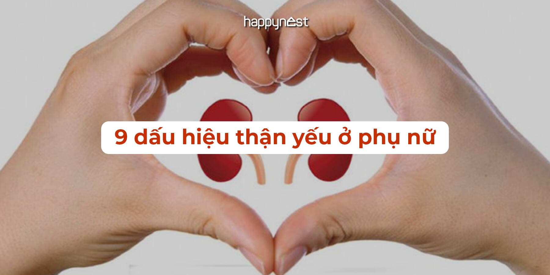 Thận yếu ở nữ giới: 9 biểu hiện dễ nhầm với mệt mỏi thông thường