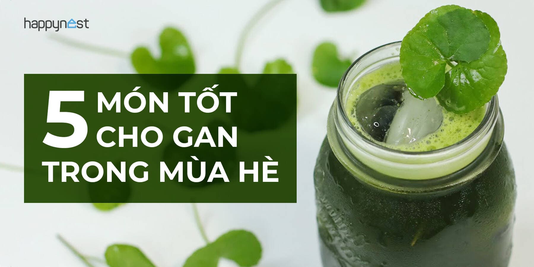 5 món thanh mát hỗ trợ giải độc gan trong mùa hè: Càng nóng càng nên ăn đều mỗi ngày