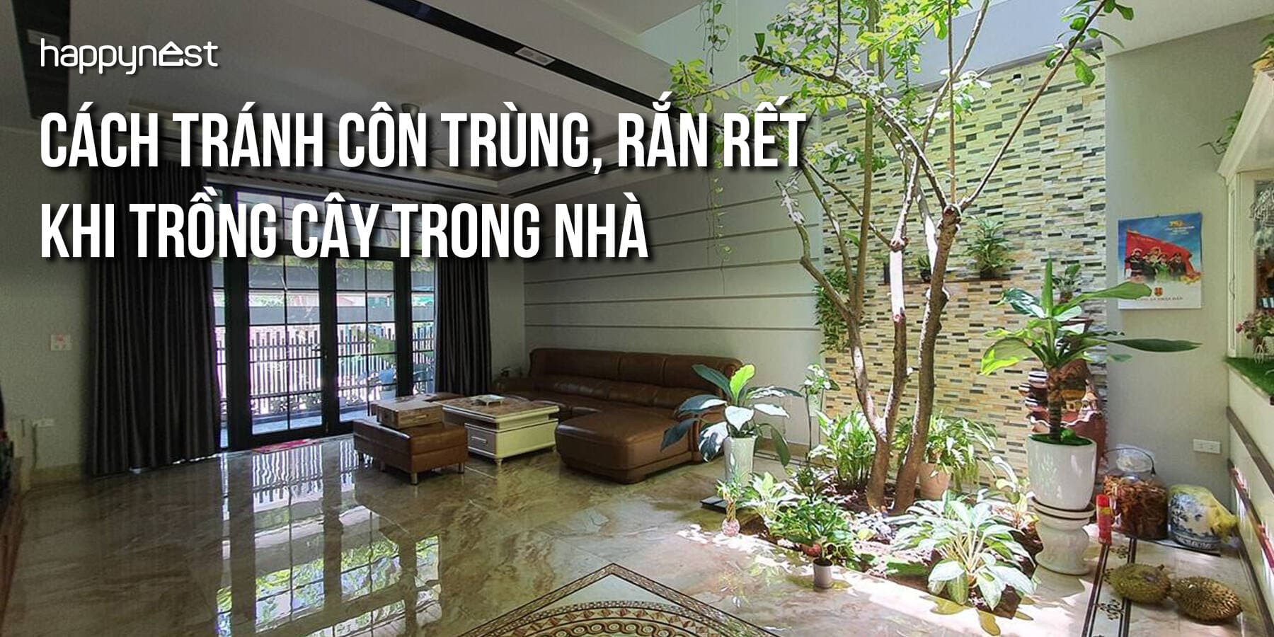 Làm thế nào để tránh côn trùng, rắn rết khi trồng cây trong nhà?