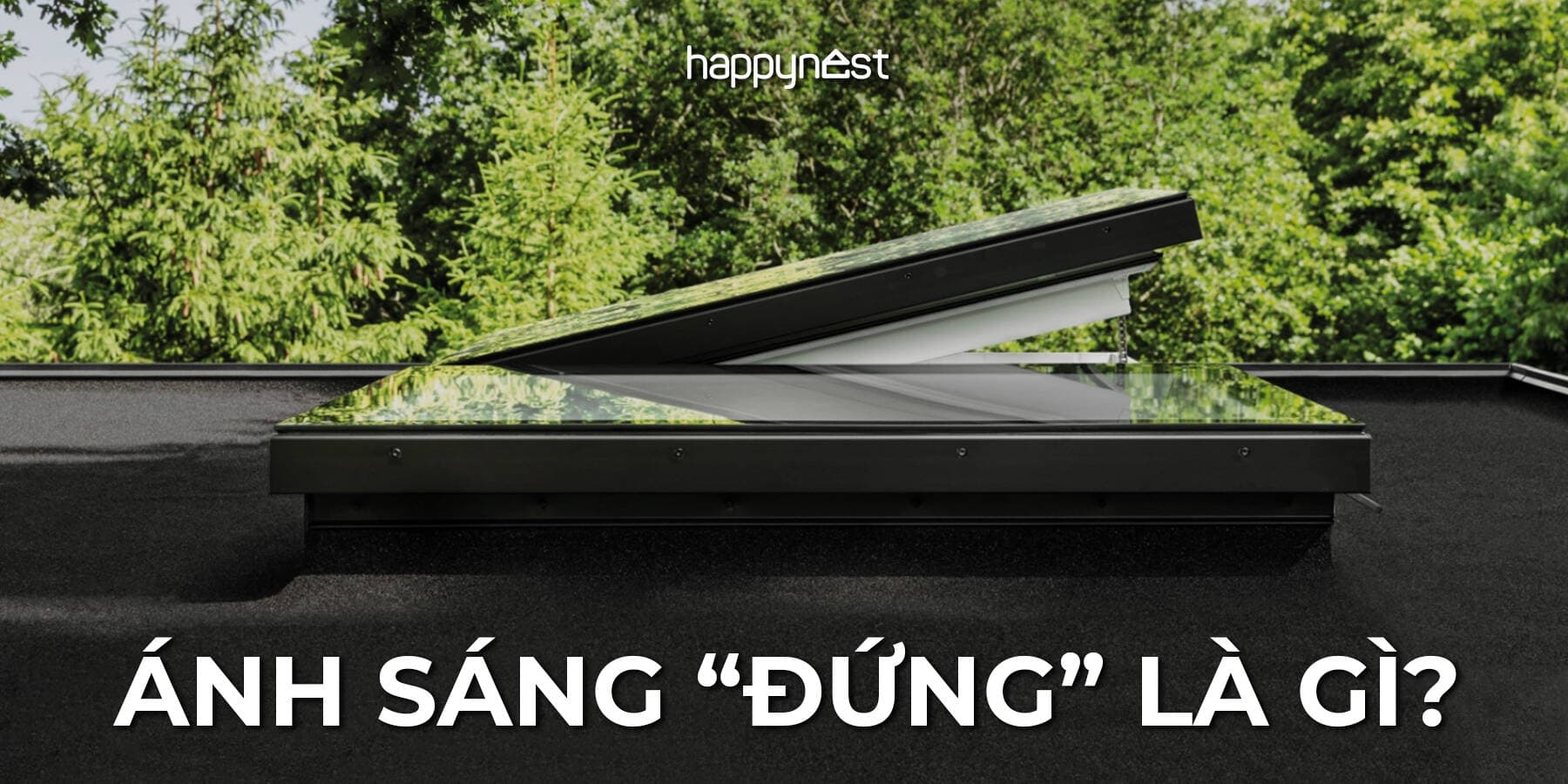 Ánh sáng “đứng” là gì? Cách dùng ánh sáng “đứng” để khai phóng nhà phố hẹp