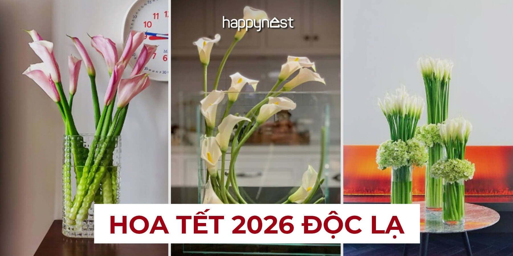 5 loại hoa Tết 2026 độc lạ, càng trưng càng thấy có gu