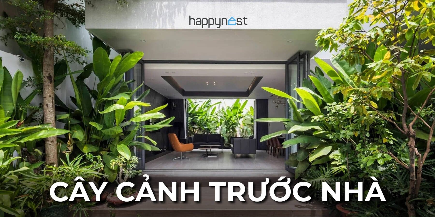 Giải pháp trồng cây trước nhà thông minh giúp mặt tiền đẹp mắt và chuẩn phong thủy