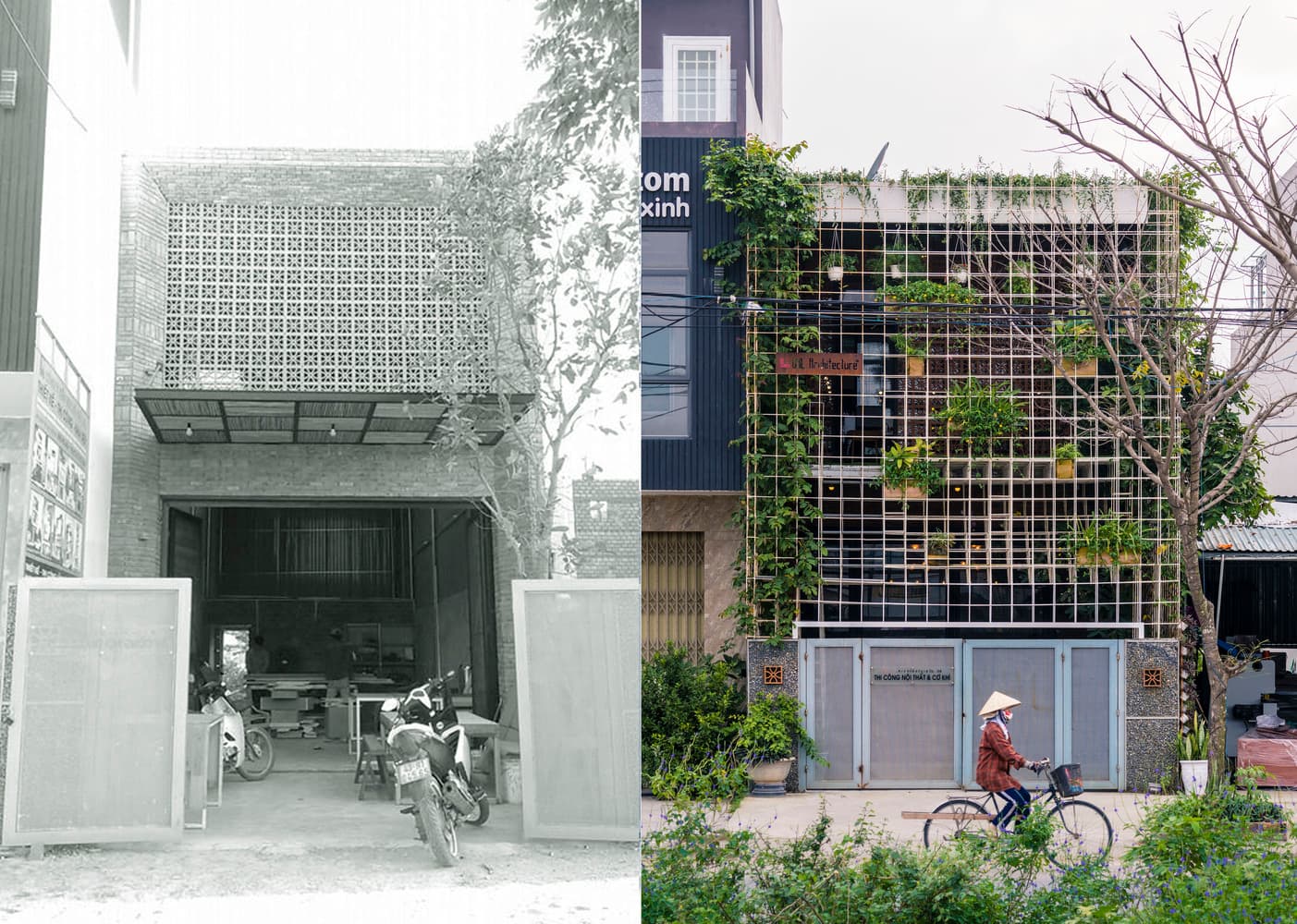 Phong House: Khi mầm xanh là khởi nguồn của sự sống bên trong xưởng gỗ cũ