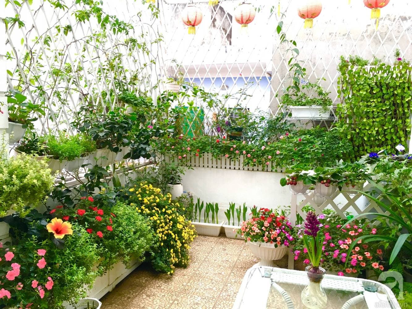 6 mẹo giúp bạn có khu vườn nhỏ xinh xanh mát và tràn đầy sức sống ngay giữa lòng đô thị chật hẹp
