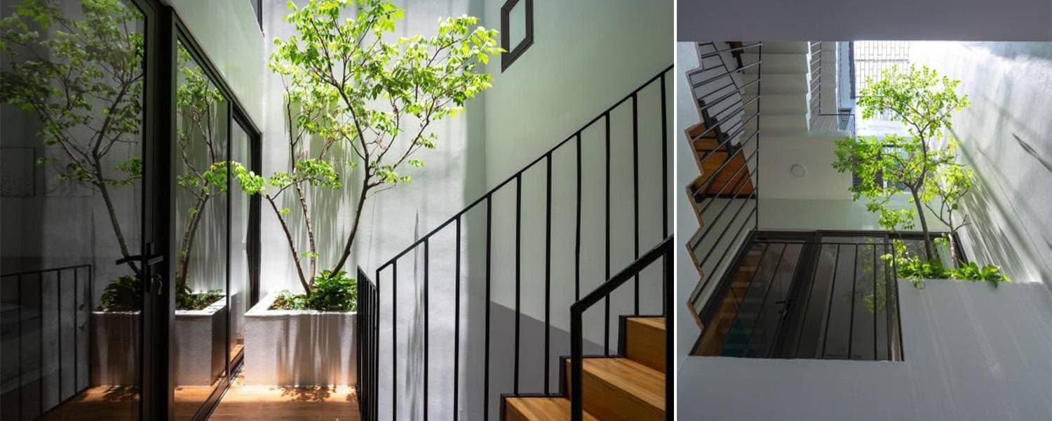 HD1 House - Ngôi nhà lấy ý tưởng từ lời bài hát của nhạc sĩ Trịnh Công Sơn.