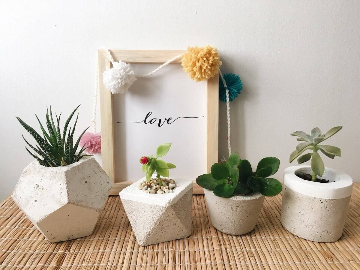 Học ngay những ý tưởng “cực chất” làm chậu cây nhỏ xinh bằng bê tông