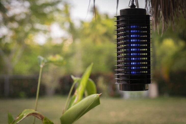 [Review] Top 10 đèn bắt muỗi tốt và hiệu quả nhất hiện nay