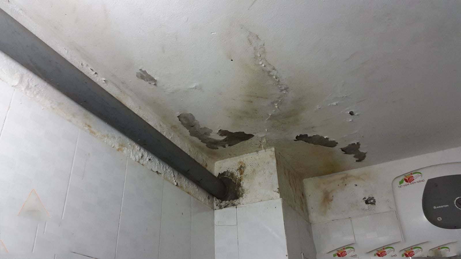 Vì sao cần chống thấm cho nhà ống, nhà phố? Gợi ý sơn chống thấm thích hợp với thời tiết Việt Nam