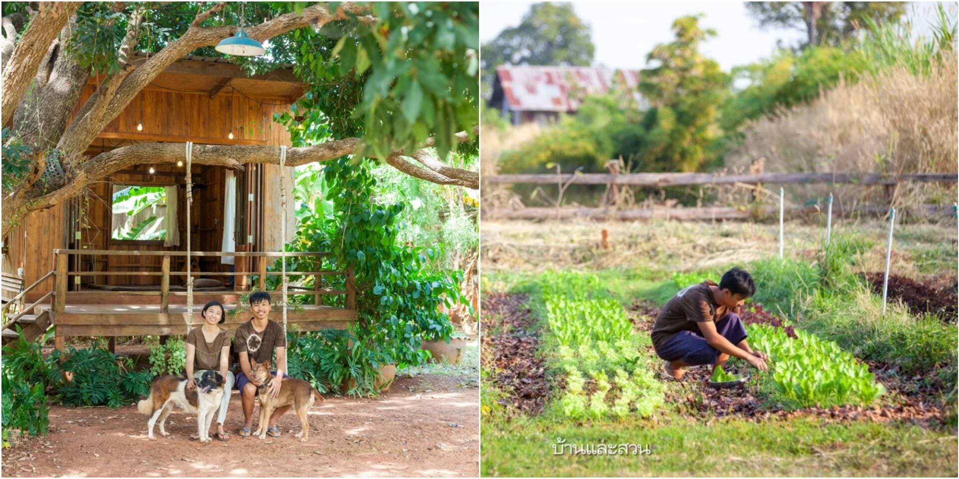 Kỹ sư viễn thông bỏ việc lương cao trên phố, về quê xây nhà làm nông để phụng dưỡng cha mẹ