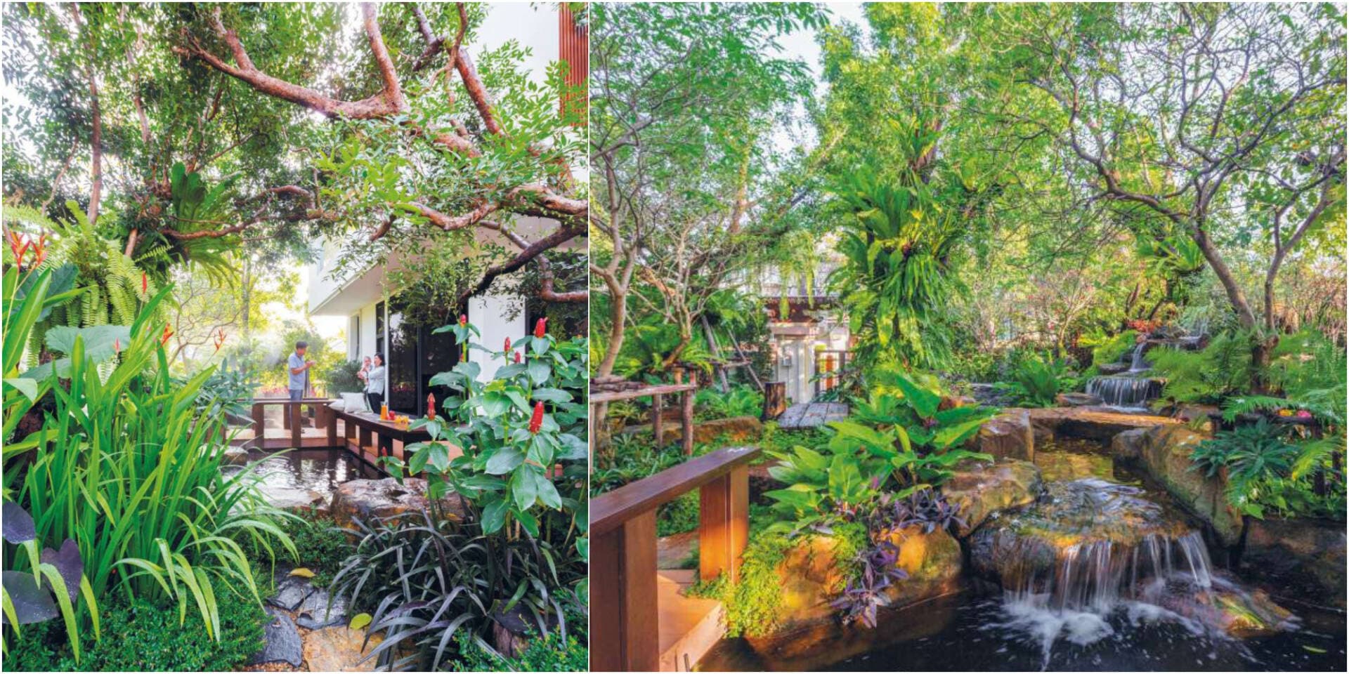 Khu vườn nhà phố 254m2 rợp bóng mát, có thác, có suối để xua tan cái nóng mùa hè