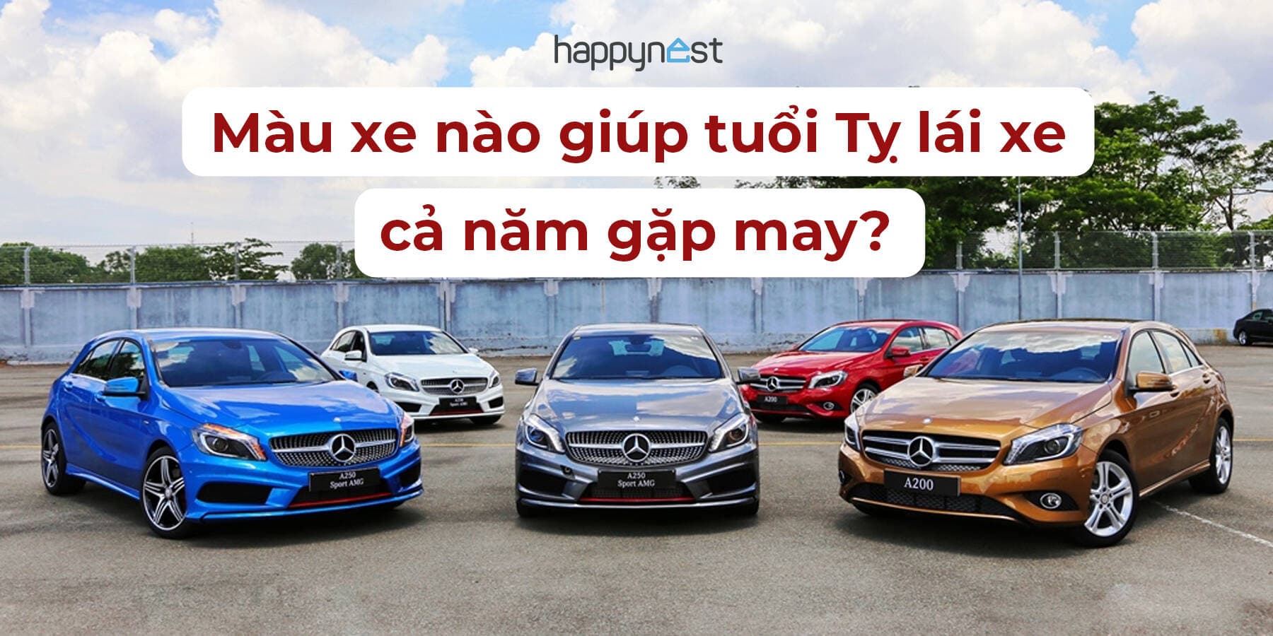 Màu xe nào giúp tuổi Tỵ lái xe cả năm gặp may?