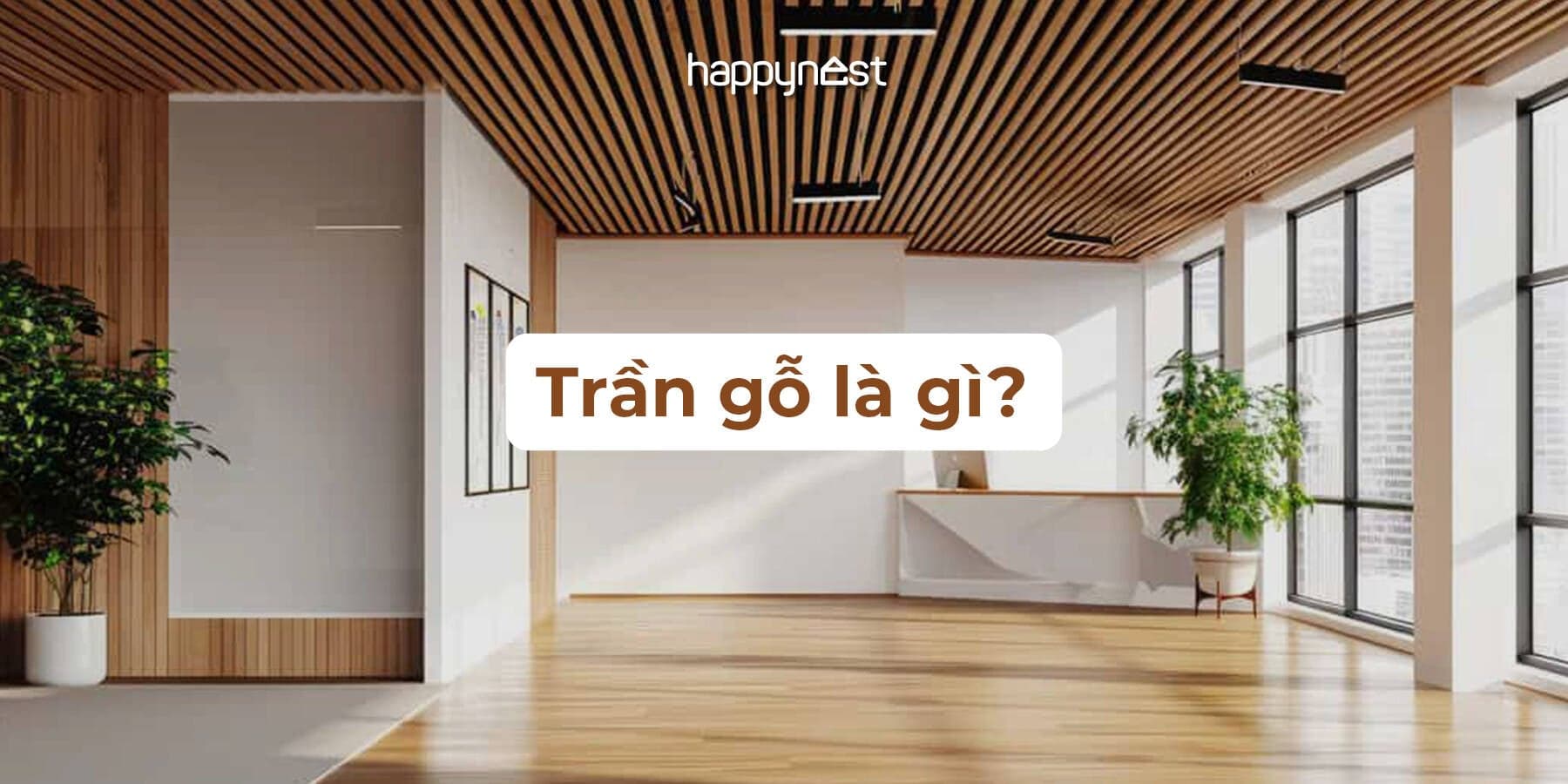 Trần gỗ trong thiết kế nhà hiện đại: Đẳng cấp vượt thời gian hay xu hướng đã lỗi thời?