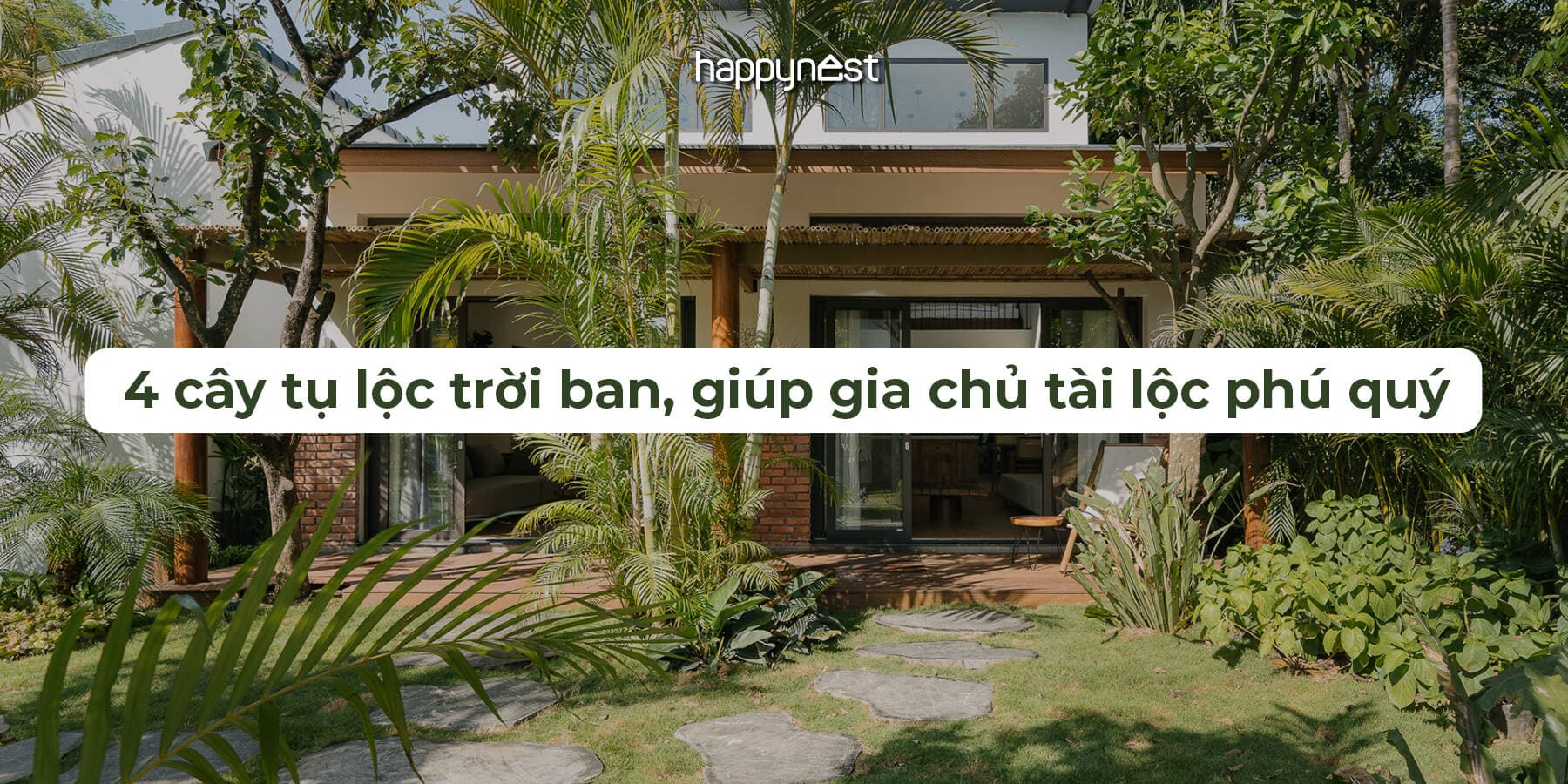 Cứ đặt đúng vị trí, 4 loại cây này sẽ giúp nhà giữ của, thu hút may mắn