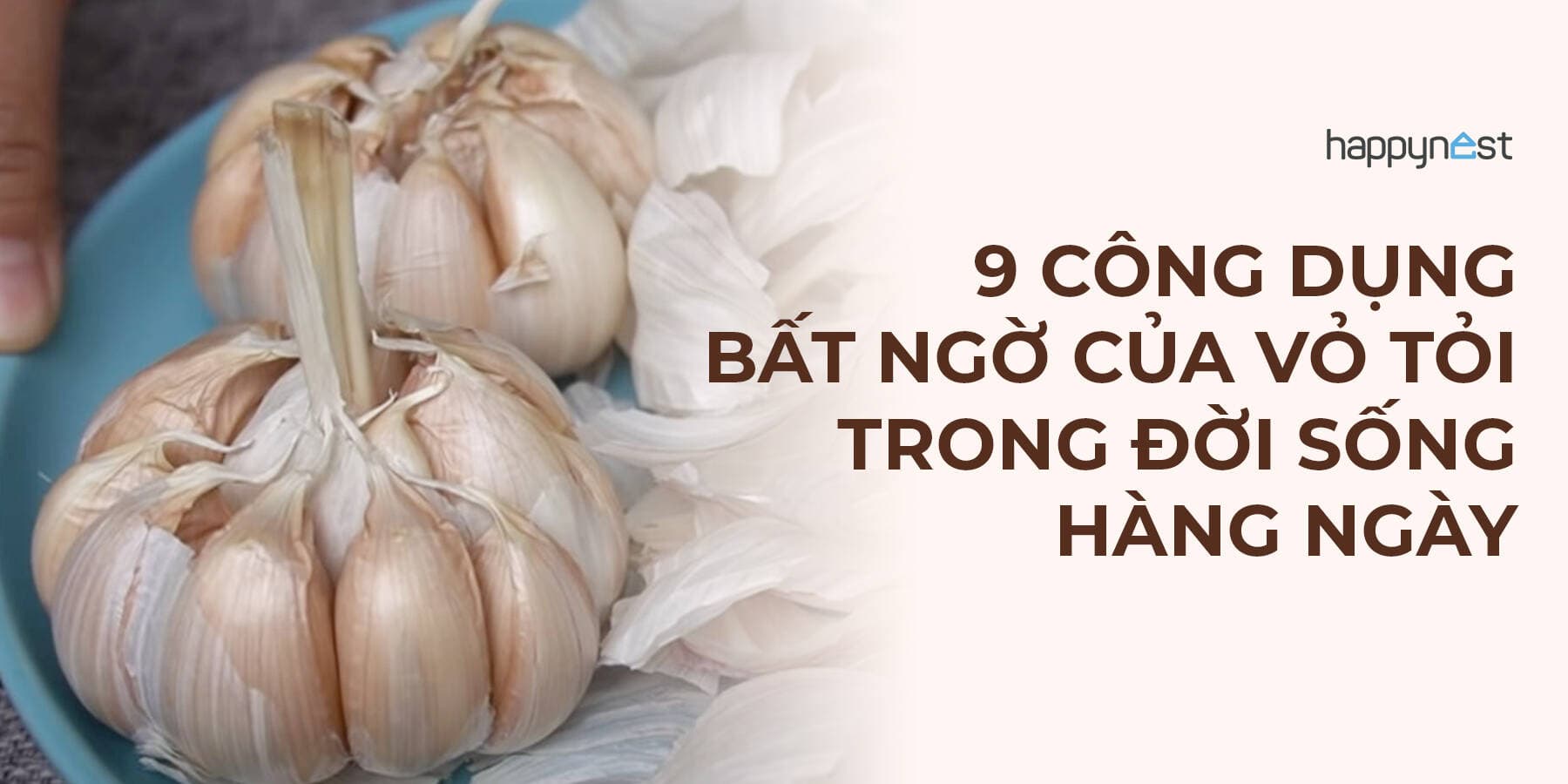 9 công dụng bất ngờ của vỏ tỏi trong đời sống hàng ngày