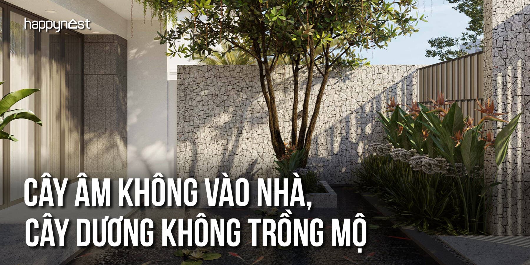 “Cây âm không vào nhà, cây dương không trồng mộ” vì sao lời dặn xưa lại có cơ sở khoa học?