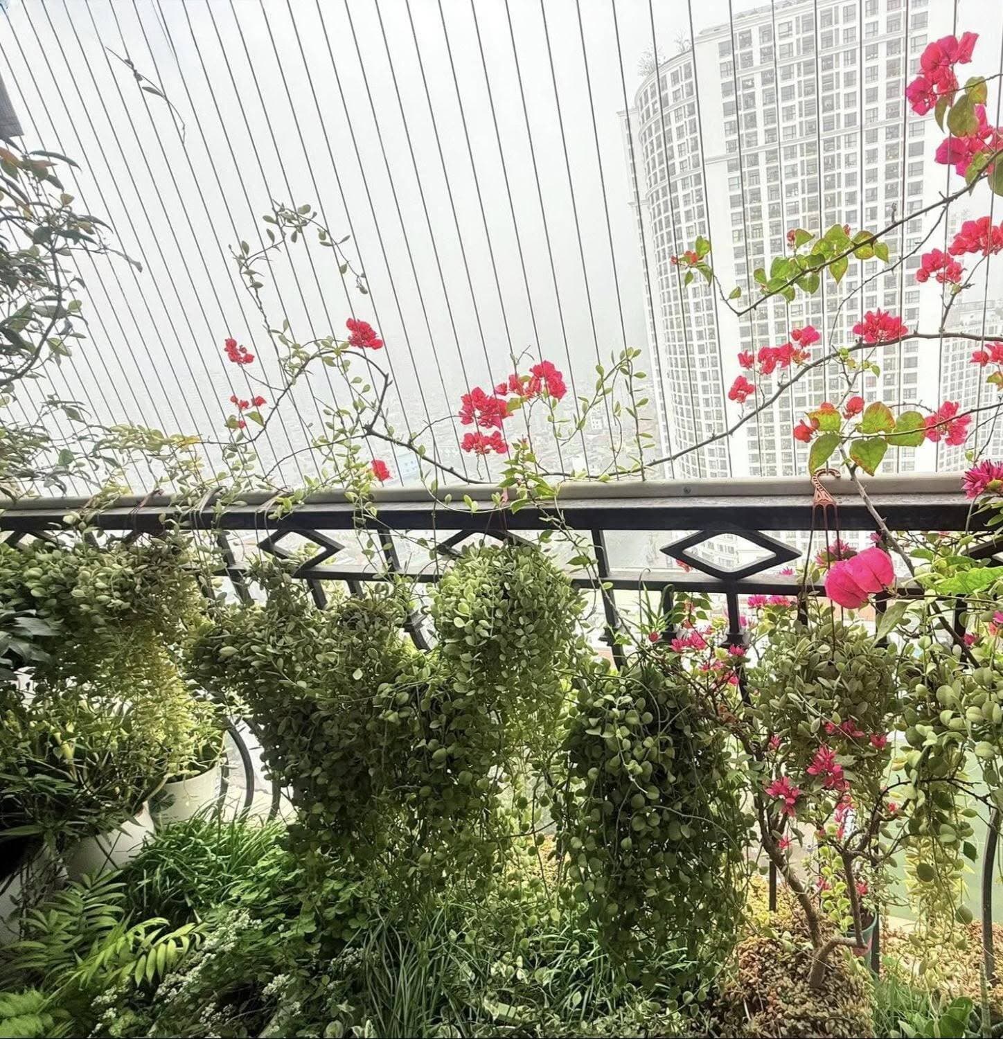Căn chung cư 78m2 hướng Tây được phủ xanh nhờ ý tưởng của cậu con trai lớp 5