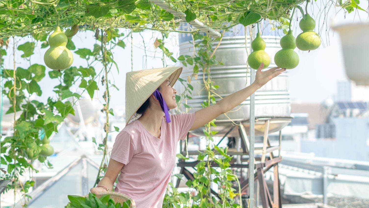 Cách để biến khu vườn trong nhà trở nên xanh tươi với hệ thống tưới cây tự động