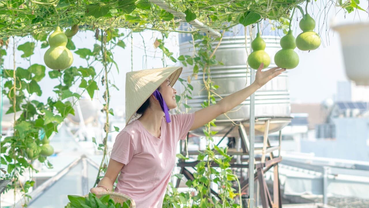 Cách để biến khu vườn trong nhà trở nên xanh tươi với hệ thống tưới cây tự động