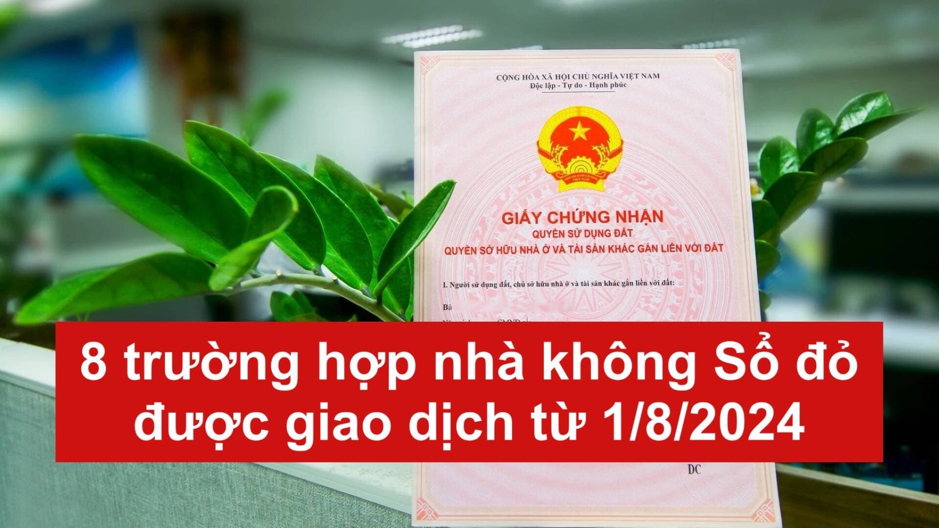 8 trường hợp nhà không có sổ đỏ được giao dịch từ 1/8/2024