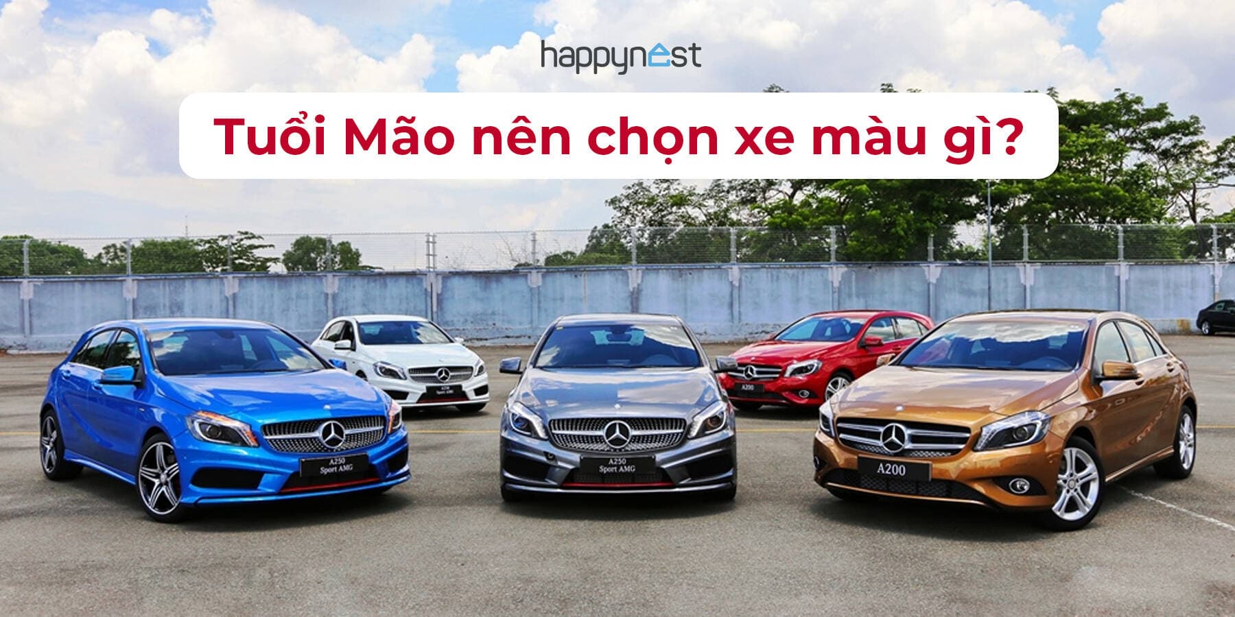Tuổi Mão nên chọn xe màu gì để cuộc sống thuận lợi?